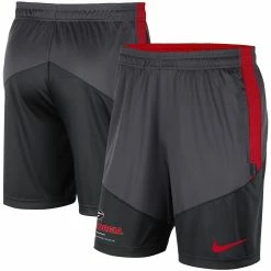 Men's Nike Charcoal/Black Georgia Bulldogs Team Performance Knit Shorts