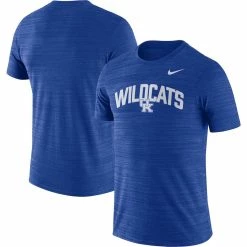 Nike Men's Royal Kentucky Wildcats 2022 Game Day Sideline Velocity Performance T-Shirt