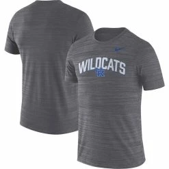 Nike Men's Anthracite Kentucky Wildcats 2022 Game Day Sideline Velocity Performance T-Shirt