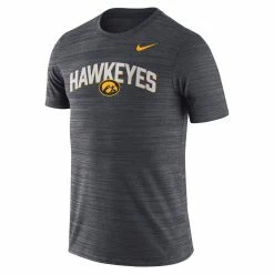 Nike Men's Black Iowa Hawkeyes 2022 Game Day Sideline Velocity Performance T-Shirt -Nike Sales DSCO1153028553 1007 ALT2