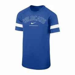 Youth Nike Royal Kentucky Wildcats Academy Raglan Sleeve Stripe Performance T-Shirt