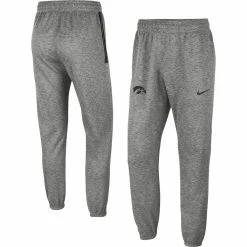 Nike Men's Heather Gray Iowa Hawkeyes Team Logo Spotlight Performance Pants