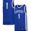 Nike Youth #1 Royal Kentucky Wildcats Icon Replica Basketball Jersey